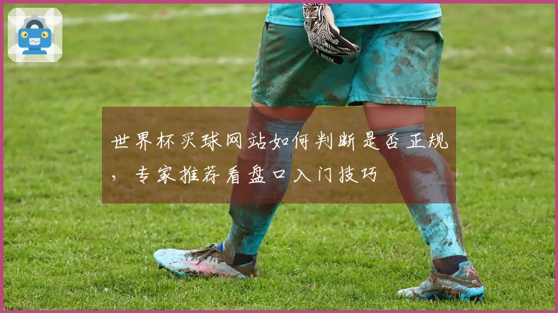 世界杯买球网站如何判断是否正规，专家推荐看盘口入门技巧