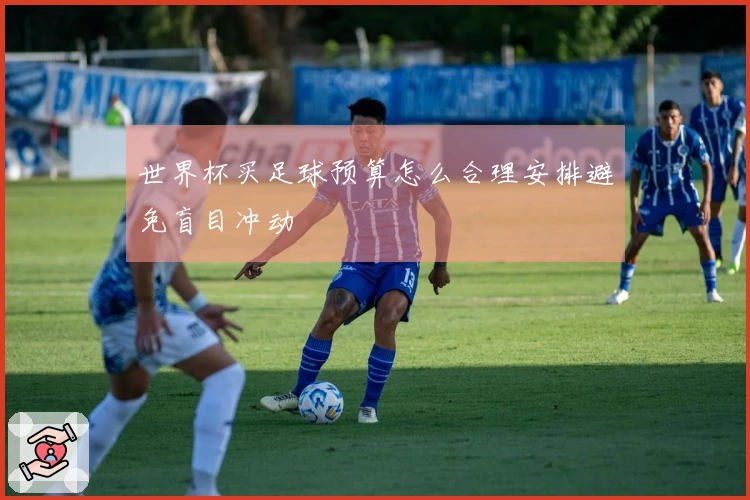 世界杯买足球预算怎么合理安排避免盲目冲动
