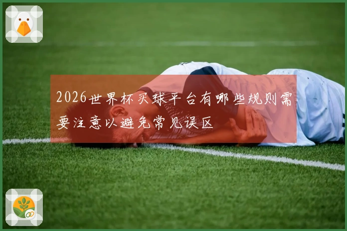 2026世界杯买球平台有哪些规则需要注意以避免常见误区