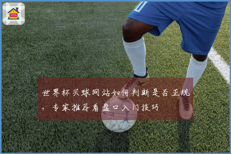 世界杯买球网站如何判断是否正规，专家推荐看盘口入门技巧