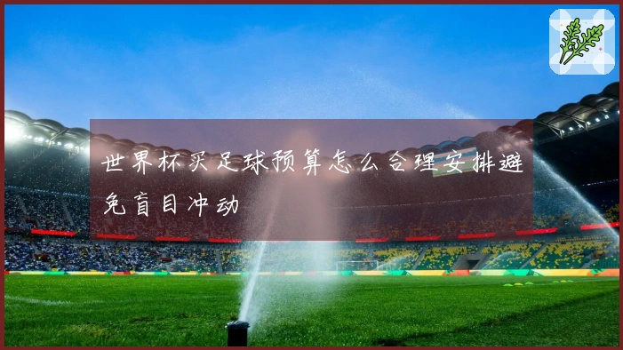 世界杯买足球预算怎么合理安排避免盲目冲动